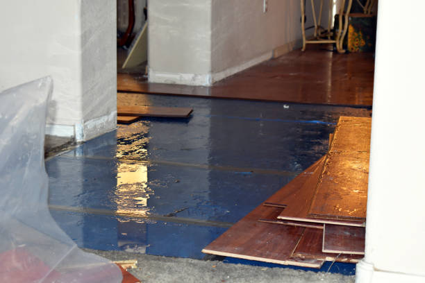 Professional Sewage Cleanup technician working in Stacyville, ME